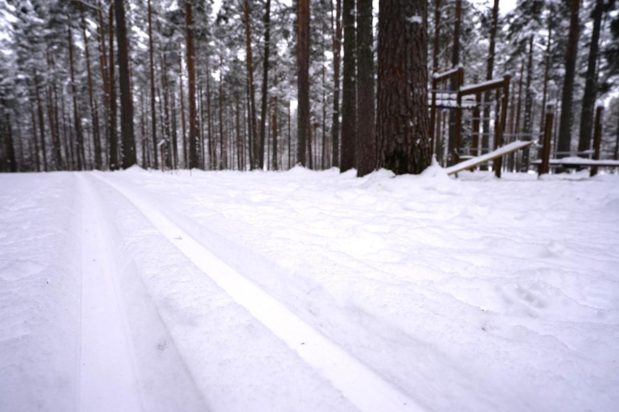 Home Aurora - Loft-Sauna-Wifi Rovaniemi Ngoại thất bức ảnh