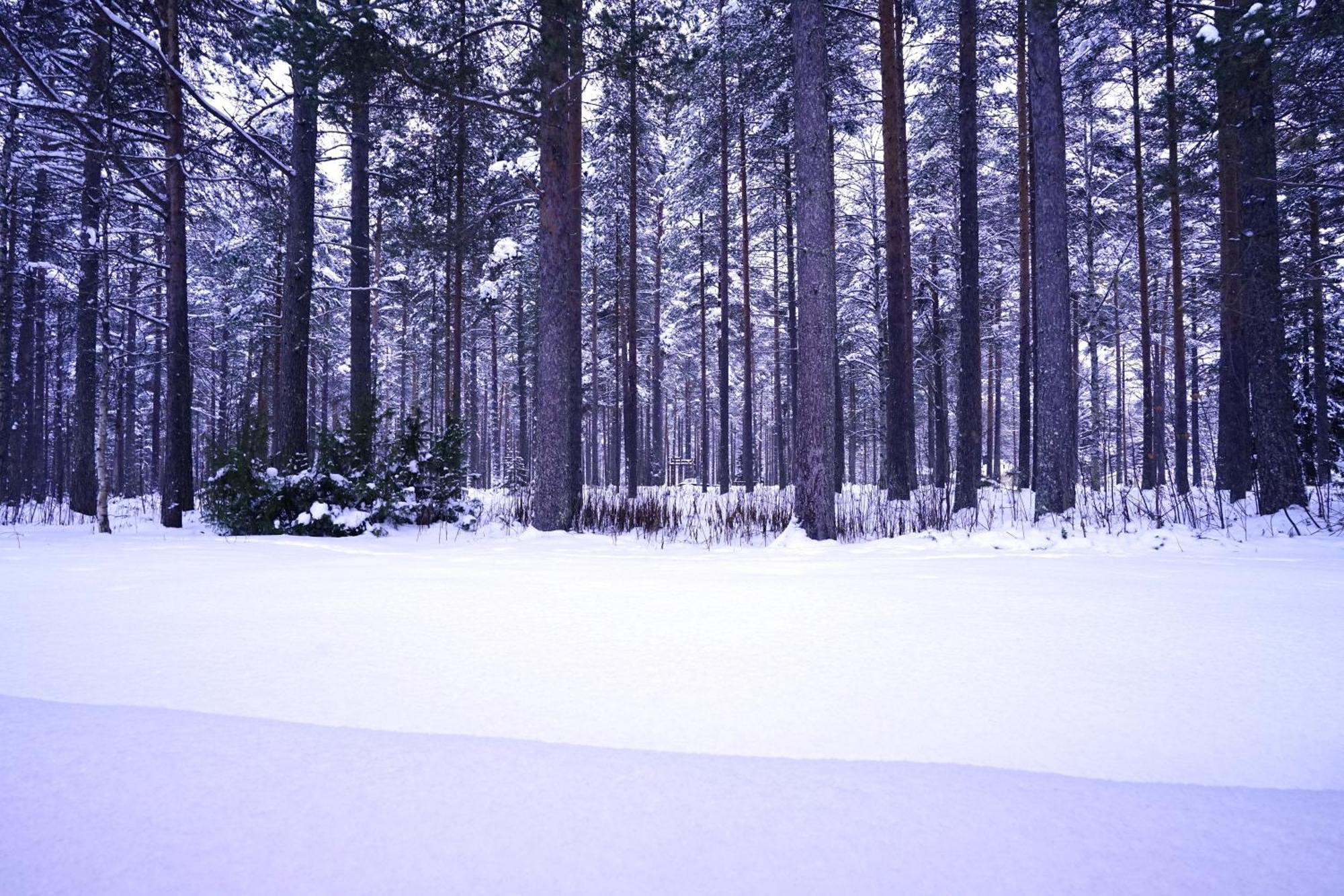 Home Aurora - Loft-Sauna-Wifi Rovaniemi Ngoại thất bức ảnh